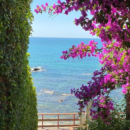 Independent Villa Beach House El Bosque 卡拉德米哈斯 外观 照片
