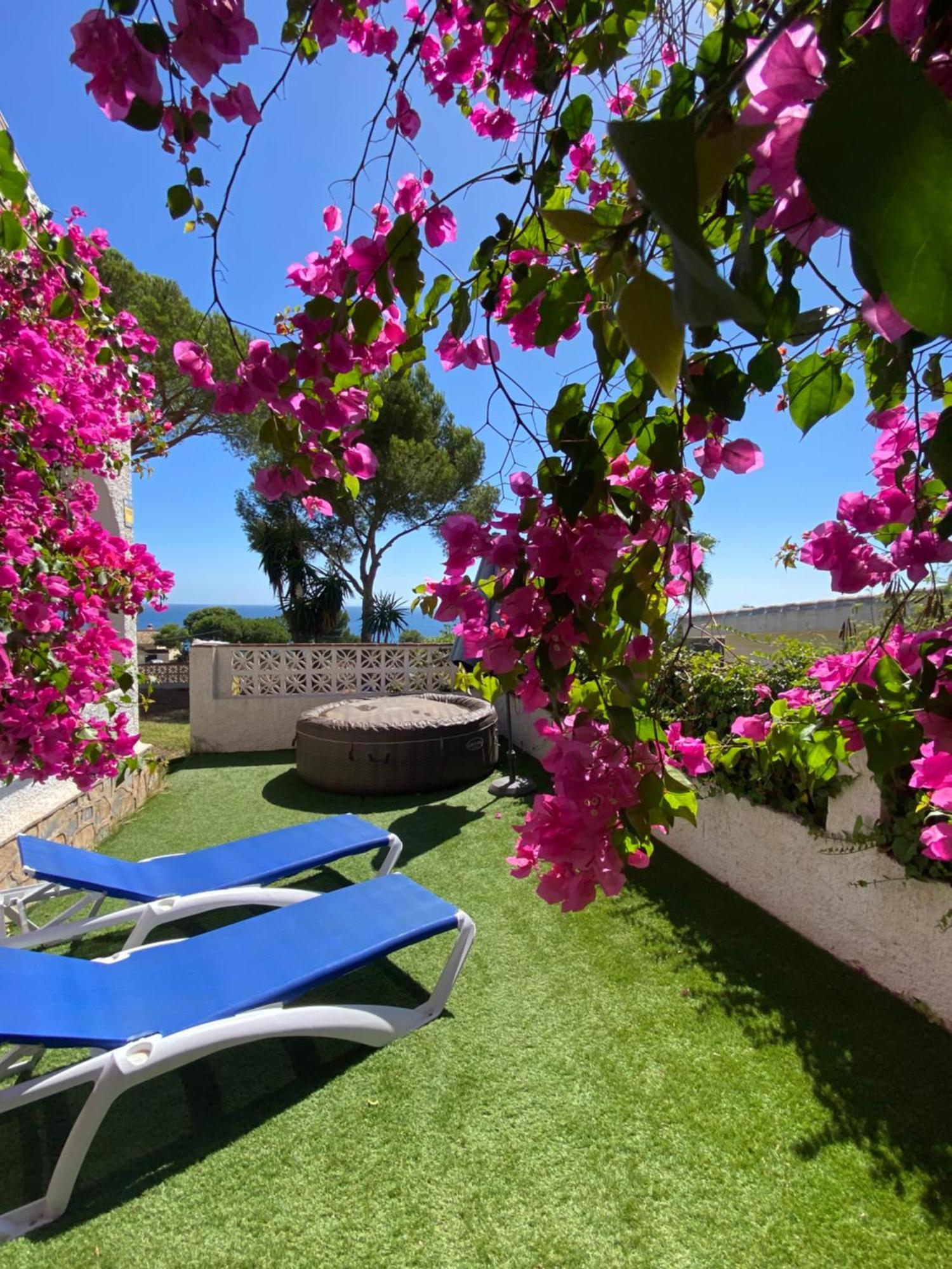 Independent Villa Beach House El Bosque 卡拉德米哈斯 外观 照片